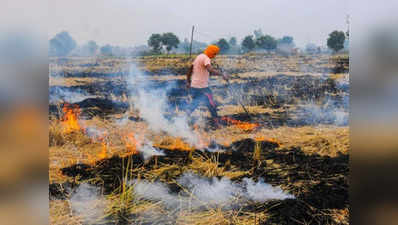 शामली में पराली जलाने वाले 29 किसानों पर जुर्माना