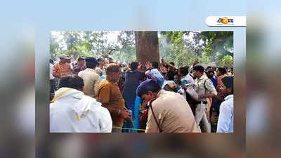 মহুয়া গাছের মহিমা! টাইগার রিজার্ভে উত্‍সাহী ‘ভক্ত’-দের জোয়ার...