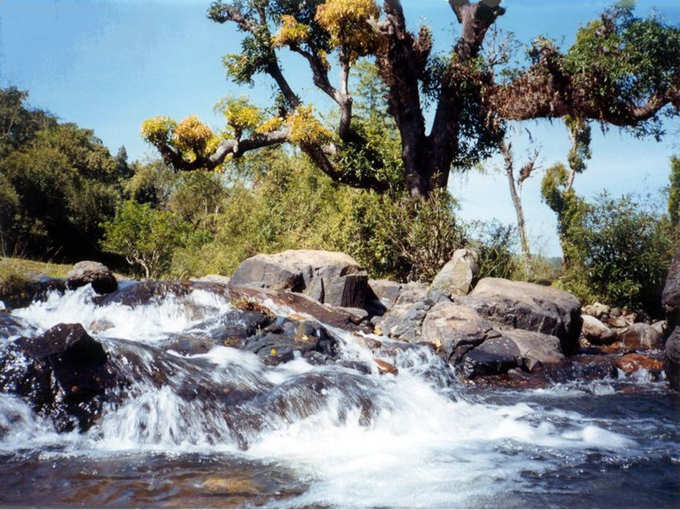 papanasini river