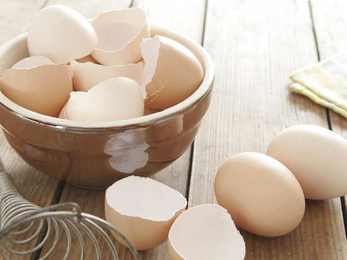 egg shells