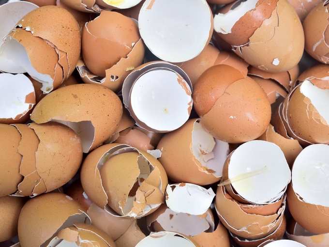 health benefits of eating egg shells