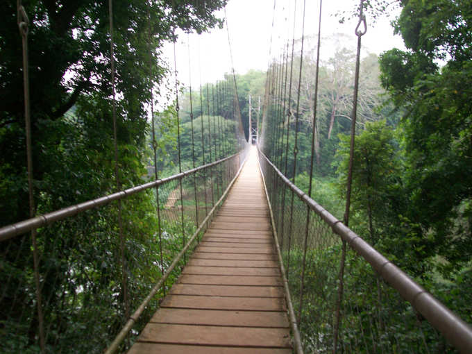 hanging bridge