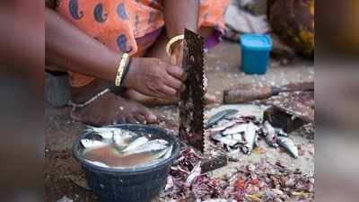 മത്സ്യത്തിന്റെ ഗന്ധമാണോ പ്രശ്നം? എങ്കിൽ പരിഹാരമുണ്ട്!