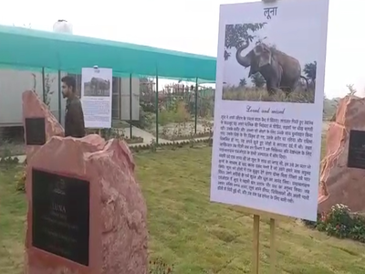 मथुरा में बना देश का पहला हाथी स्मारक, बीमार हाथियों के इलाज की भी सुविधा