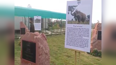 मथुरा में बना देश का पहला हाथी स्मारक, बीमार हाथियों के इलाज की भी सुविधा