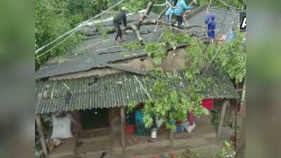 बुलबुल: ओडिशा में भारी बारिश और तूफान के चलते पेड़ उखड़े, सड़क संपर्क टूटा