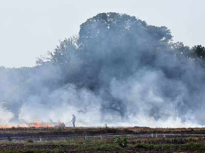 पराली जलाने पर 7 महिलाओं समेत 29 किसानों पर केस