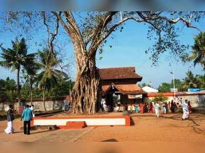 സ്ത്രീകൾക്ക് പ്രവേശനം അനുവദിച്ചു; മുസ്ലീങ്ങളെ ആനയിക്കാന്‍ വാതില്‍; മതമൈത്രിയുടെ മാന്നാര്‍ ക്ഷേത്രം