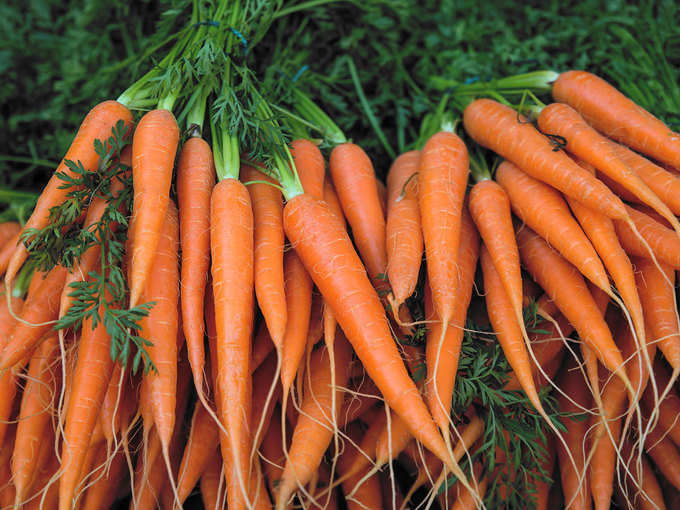 ​लंग कैंसर से बचाती है गाजर