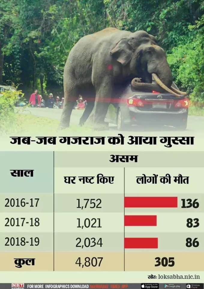 elephant attack