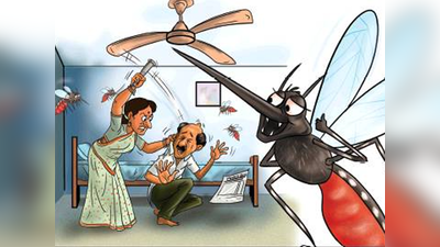 गुजरात: मच्‍छर काटने पर गुस्‍साई पत्‍नी, पति को मूसल से पीटा