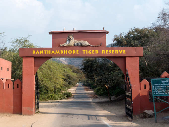 रणथंभौर नैशनल पार्क, राजस्थान