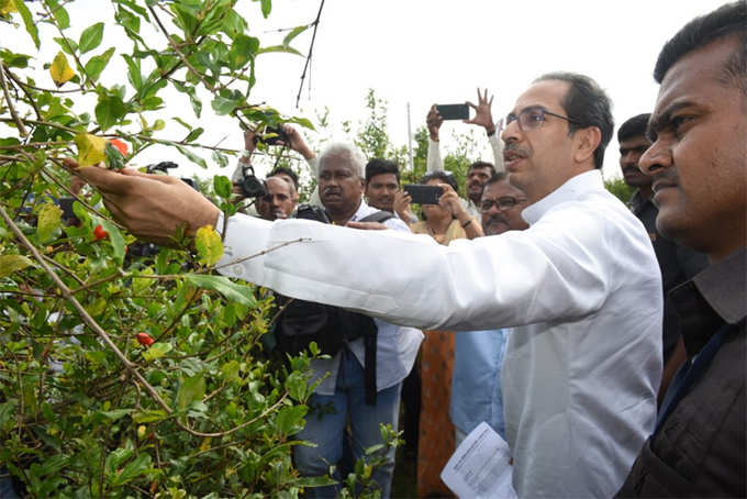 uddhav1