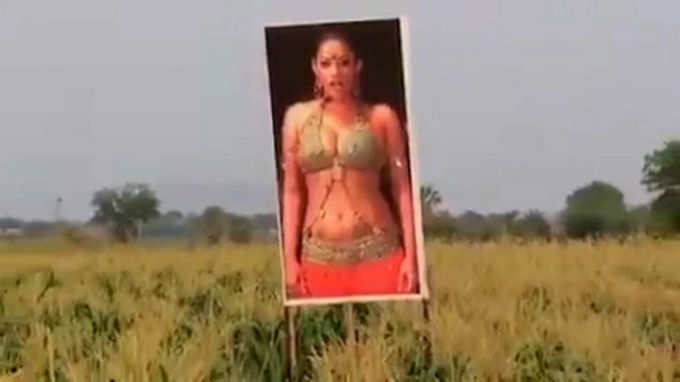 Actress Mumaith Khan Poster in farm