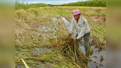 नुकसानग्रस्त शेतकऱ्यांना आर्थिक मदत जाहीर