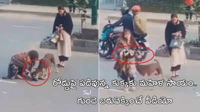 రోడ్డుపై పడివున్న కుక్కకు మహిళ సాయం.. గుండె బరువెక్కించే వీడియో 