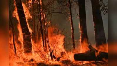 കഞ്ചാവ് തോട്ടം സംരക്ഷിക്കാന്‍ തീയിട്ടു; രാജ്യം മുഴുവന്‍ കാട്ടുതീയില്‍ വെന്തുരുകുന്നു