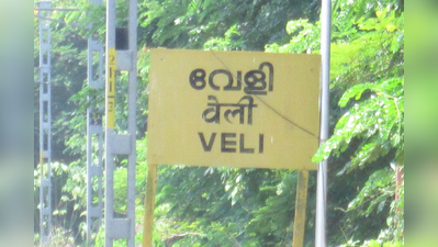 തിരുവനന്തപുരത്ത് ട്രെയിന്‍ ഇടിച്ച് പത്ത് പോത്തുകൾ ചത്തു; ട്രെയിൻ ഗതാഗതം തടസ്സപ്പെട്ടു