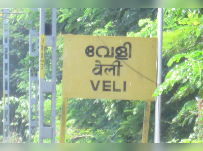 തിരുവനന്തപുരത്ത് ട്രെയിന്‍ ഇടിച്ച് പത്ത് പോത്തുകൾ ചത്തു; ട്രെയിൻ ഗതാഗതം തടസ്സപ്പെട്ടു