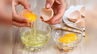 कच्चा अंडा आपको बना सकते है बीमार, उबालकर खाना है सुरक्षित