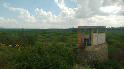 ಅಮಾನಿಕೆರೆಗೆ ಅವಮಾನಿಸದಿರಿ