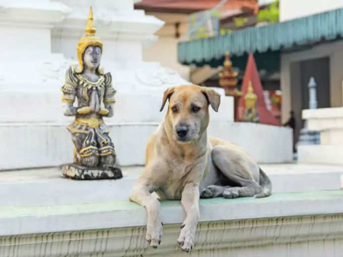 ఆలయం ఎక్కడ ఉంది?