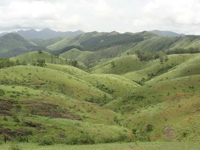 Vagamon