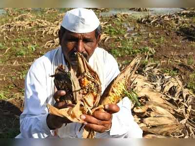 अश्रू कधी पुसणार?