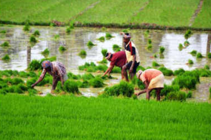 മഹാരാഷ്ട്രയിലെ കാർഷിക പ്രതിസന്ധി