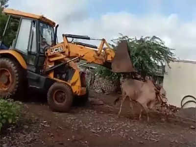 क्रौर्याची परिसीमा