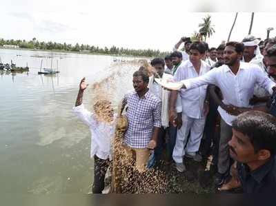 ysr matsyakara nestham :మత్స్యకారుల కుటుంబాలకు అండగా...