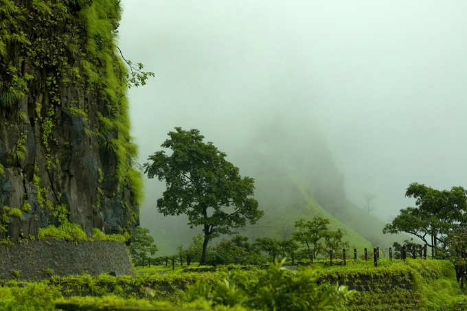 ​ರಾಜ್ಮಾಚಿ