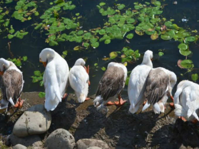 ಕೋರ್ಟ್‌ ತೀರ್ಪಿನಿಂದ ಖುಷಿಯಾಗಿದೆ