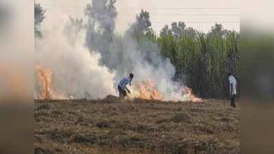 फतेहाबाद में पराली जला रहे होमगार्ड को पकड़ा, 7 किसान गिरफ्तार