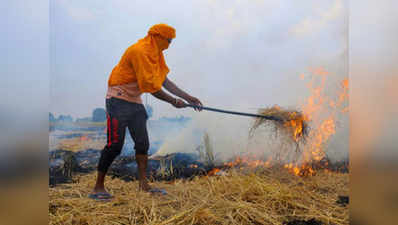 हरियाणा के जींद में पराली जलाने वाले 123 किसानों के खिलाफ केस दर्ज