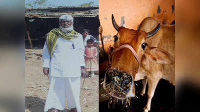 जन्म के बाद मां गुजर गईं, गाय से ममता पाकर गोसेवक बने पद्मश्री अवॉर्डी शब्बीर सैयद