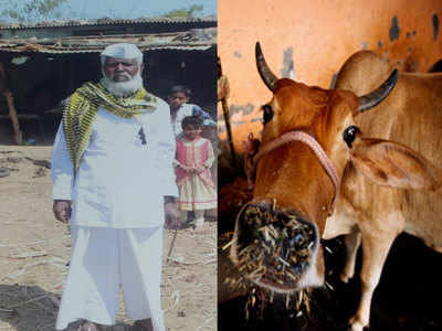 जन्म के बाद मां गुजर गईं, गाय से ममता पाकर गोसेवक बने पद्मश्री अवॉर्डी शब्बीर सैयद