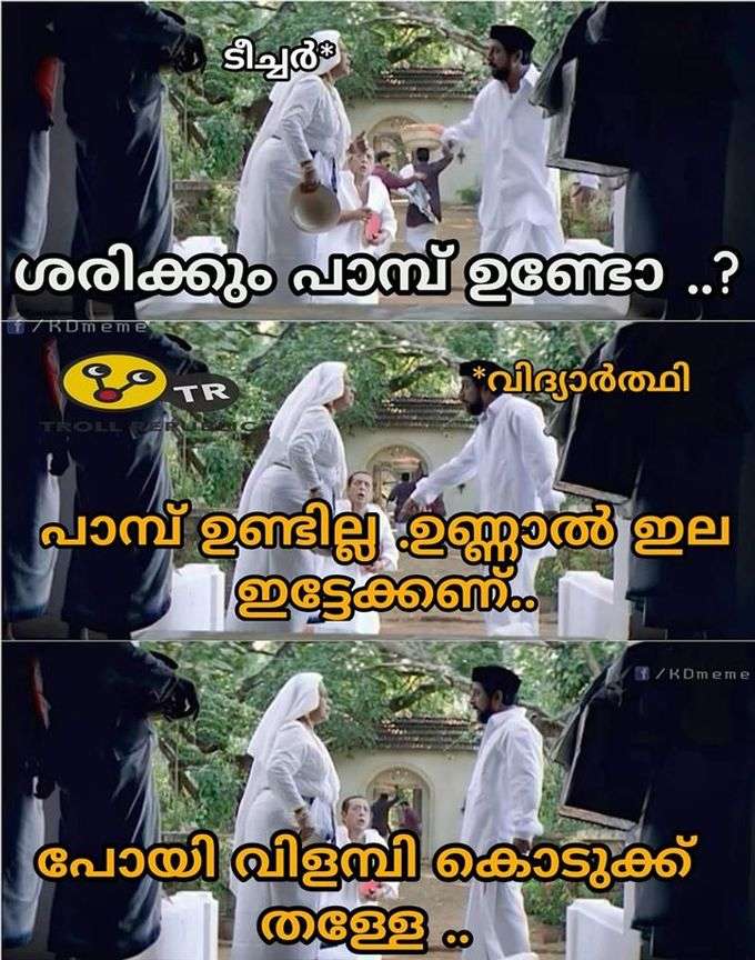 ഷെഹ്‌ലയുടെ മരണത്തിൽ പ്രധാനാധ്യാപകൻ അടക്കമുള്ളവർക്ക് സസ്‌പെൻഷൻ