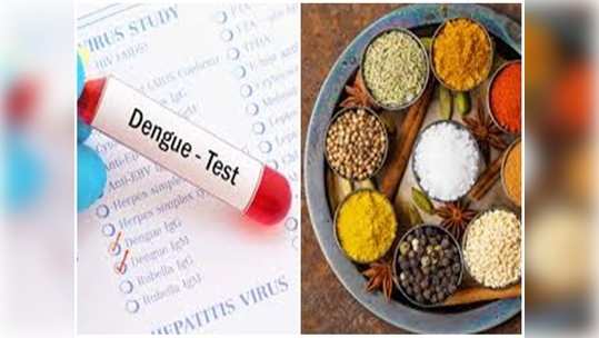 டெங்கு எப்போ யாருக்கு வரும்னு பயமா இருக்கா?... உங்க வீட்ல இருக்கற இந்த 3 பொருள் காப்பாத்தும்... கவலைய விடுங்க...