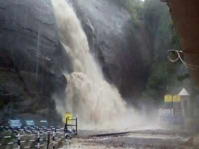 குற்றால அருவிகளில் ஆர்ப்பரிக்கும் வெள்ளநீர்; சுற்றுலா பயணிகளுக்கு தடை!