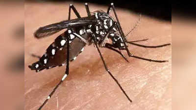 ऑडिट के बाद डेंगू के नए आंकड़े जारी करेगी यूपी सरकार: अतुल गर्ग