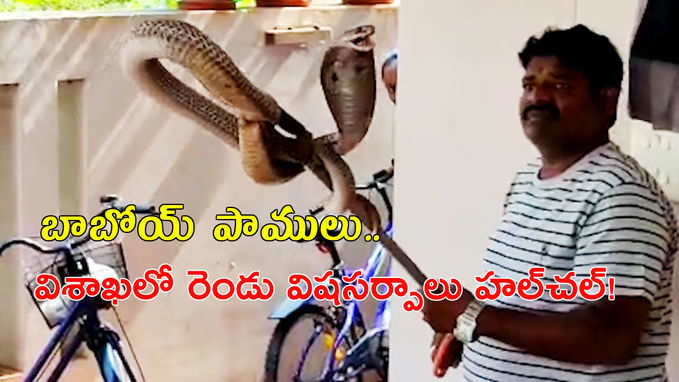 విశాఖ: ఒకే ఇంట్లోకి దూరిన రెండు విషసర్పాలు.. చివరికి ఇలా వెలికితీశారు 