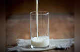 National Milk Day: क्या रोजाना दूध पीने के हैं नुकसान?