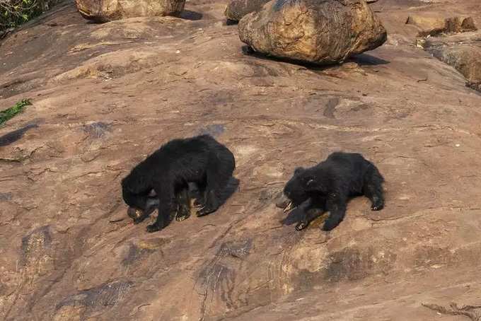 ​ಹೀಗೆ ಹೋಗಿ..