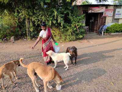 ती झाली भटक्या कुत्र्यांची अन्नपूर्णा!