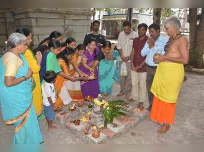 ರೋಹಿಣಿ ಸಿಂಧೂರಿ ಹೆಸರಲ್ಲಿವಿಶೇಷ ಪೂಜೆ, ವೃಕ್ಷ ಪೋಷಣೆ