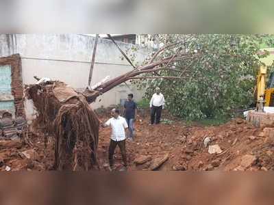 ಮೈಸೂರಲ್ಲಿ ಉತ್ತಮ ಗಾಳಿಗಾಗಿ ಅರಳಿ ಮರವನ್ನೇ ಸ್ಥಳಾಂತರ ಮಾಡಿದ ಎನ್‌ಜಿಒ