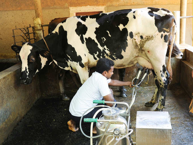 ​ಆರೋಗ್ಯವಂತ ಕೆಚ್ಚಲು