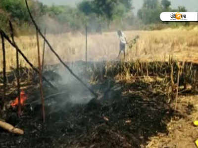 খেলতে খেলতে আগুনের গ্রাসে, পুড়ে মৃত ছোট্ট তিন বোন