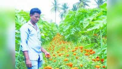 ಬಹು ಬೆಳೆಯ ಬದುಕು